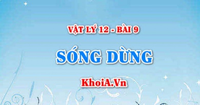 Điều kiện để có sóng dừng là gì? Số nút sóng, bụng sóng và bó sóng trên dây - Vật lý 12 bài 9